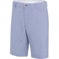 Seersucker Stripe 9.5" Short