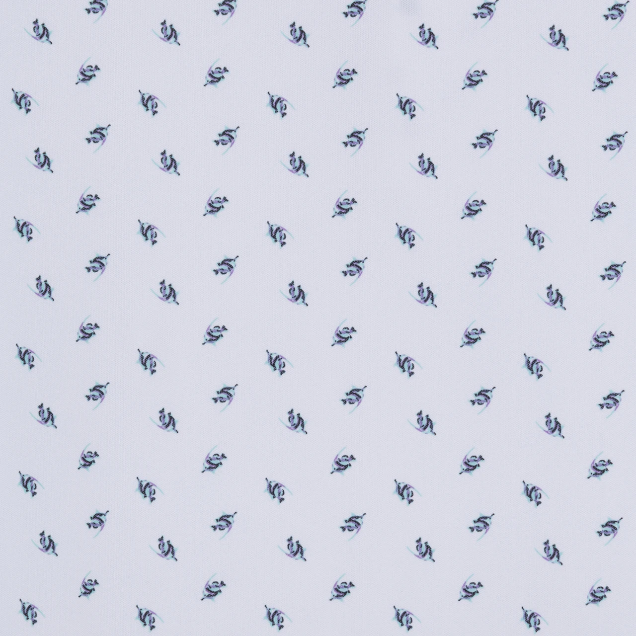 Butterfly Fish Polo - Image 2